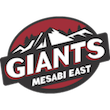 Mesabi East Logo